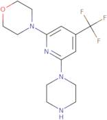 4-(6-Piperazin-1-yl-4-trifluoromethyl-pyridin-2-yl)-morpholine