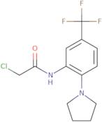 2-Chloro-N-[2-pyrrolidin-1-yl-5-(trifluoromethyl)phenyl]acetamide