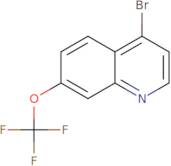 4-Bromo-7-(trifluoromethoxy)quinoline