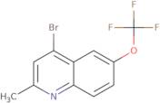 4-Bromo-2-methyl-6-trifluoromethoxyquinoline