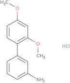 2',4'-Dimethoxy-biphenyl-3-ylamine hydrochloride