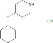 4-(Cyclohexyloxy)piperidine hydrochloride