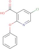 5-Chloro-2-phenoxynicotinic acid