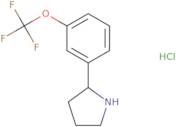 2-(3-(Trifluoromethoxy)phenyl)pyrrolidine hydrochloride