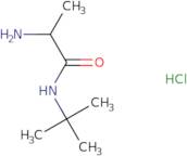 2-Amino-N-(tert-butyl)propanamide hydrochloride