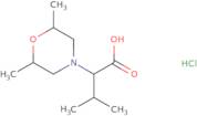 2-(2,6-Dimethylmorpholin-4-yl)-3-methylbutanoic acid hydrochloride