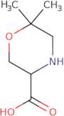 6,6-Dimethylmorpholine-3-carboxylic acid