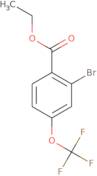 2-Bromo-4-(trifluoromethoxy)benzoic acid ethyl ester