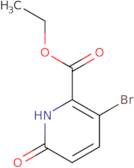 Ethyl 3-bromo-6-hydroxypicolinate