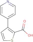 3-(Pyridin-4-yl)thiophene-2-carboxylic acid