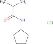 2-Amino-N-cyclopentylpropanamidehydrochloride