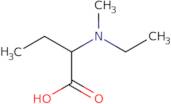 2-[Ethyl(methyl)amino]butanoic acid