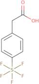 4-(Pentafluorosulfur)phenylacetic acid