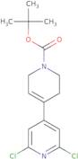 tert-Butyl 2,6-dichloro-5,6-dihydro-[4,4-bipyridine]-1(2H)-carboxylate