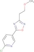 2-Chloro-5-[3-(2-methoxyethyl)-1,2,4-oxadiazol-5-yl]pyridine