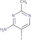 5-Iodo-2-methylpyrimidin-4-amine