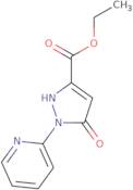 5-Hydroxy-1-pyridin-2-yl-1H-pyrazole-3-carboxylic acid ethyl ester