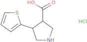 (3R,4R)-4-Thiophen-2-ylpyrrolidine-3-carboxylic acid hydrochloride