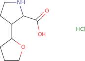 3-(Oxolan-2-yl)pyrrolidine-2-carboxylic acid hydrochloride