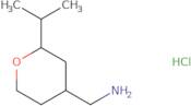 [2-(Propan-2-yl)oxan-4-yl]methanamine hydrochloride