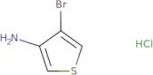 4-bromothiophen-3-amine hydrochloride