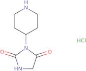3-(Piperidin-4-yl)imidazolidine-2,4-dione hydrochloride