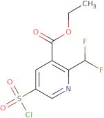 Ethyl 5-(chlorosulfonyl)-2-(difluoromethyl)pyridine-3-carboxylate