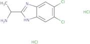 1-(5,6-Dichloro-1H-1,3-benzodiazol-2-yl)ethan-1-amine dihydrochloride