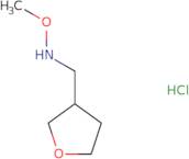 Methoxy[(oxolan-3-yl)methyl]amine hydrochloride