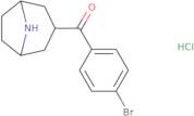 (8-Azabicyclo[3.2.1]octan-3-yl)(4-bromophenyl)methanone hydrochloride