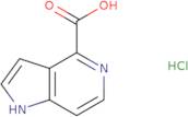 1H-Pyrrolo[3,2-c]pyridine-4-carboxylic acid hydrochloride