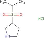 3-(Propane-2-sulfonyl)pyrrolidine hydrochloride