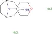 8-(Tetrahydro-2H-pyran-4-yl)-8-azabicyclo[3.2.1]octan-3-amine dihydrochloride