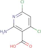 2-Amino-4,6-dichloronicotinic acid