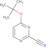 4-t-Butoxy-pyrimidine-2-carbonitrile
