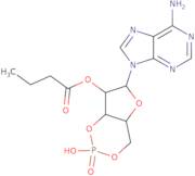 2'-o-Butyryladenosine 3',5'-cyclic phosphate dmap