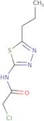 2-Chloro-N-(5-propyl-1,3,4-thiadiazol-2-yl)acetamide