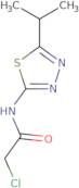 2-Chloro-N-(5-isopropyl-[1,3,4]thiadiazol-2-yl)-acetamide