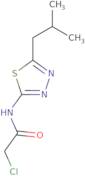 2-Chloro-N-[5-(2-methylpropyl)-1,3,4-thiadiazol-2-yl]acetamide