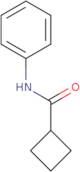 N-Phenylcyclobutanecarboxamide