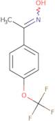 (E)-1-(4-(trifluoromethoxy)phenyl)ethanone oxime