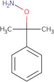 o-(2-Phenylpropan-2-yl)hydroxylamine