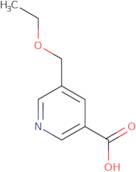 5-(Ethoxymethyl)pyridine-3-carboxylic acid