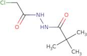 N'-(2-Chloroacetyl)-2,2-dimethylpropanehydrazide