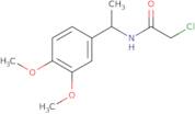 2-Chloro-N-[1-(3,4-dimethoxyphenyl)ethyl]acetamide