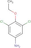 3,5-Dichloro-4-ethoxyaniline