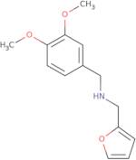 (3,4-Dimethoxy-benzyl)-furan-2-ylmethyl-amine