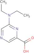 6-(Diethylamino)-2-pyrazinecarboxylic acid