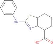 2-(Phenylamino)-4,5,6,7-tetrahydro-1,3-benzothiazole-4-carboxylic acid