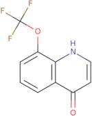 8-(Trifluoromethoxy)-4-hydroxyquinoline